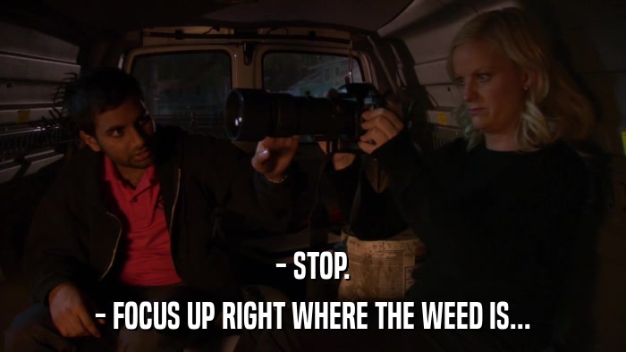 - STOP. - FOCUS UP RIGHT WHERE THE WEED IS... 