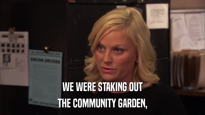 WE WERE STAKING OUT THE COMMUNITY GARDEN, 