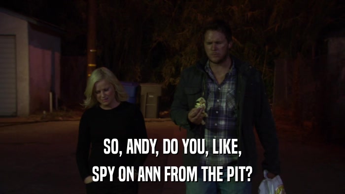 SO, ANDY, DO YOU, LIKE, SPY ON ANN FROM THE PIT? 