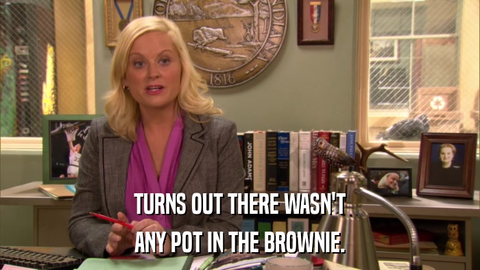 TURNS OUT THERE WASN'T ANY POT IN THE BROWNIE. 