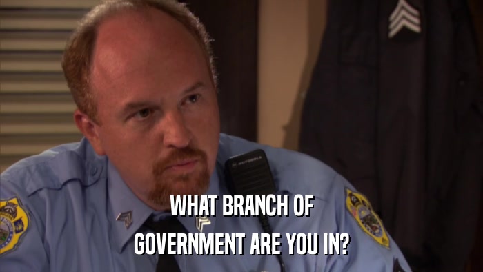 WHAT BRANCH OF GOVERNMENT ARE YOU IN? 