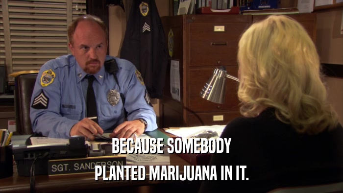 BECAUSE SOMEBODY PLANTED MARIJUANA IN IT. 