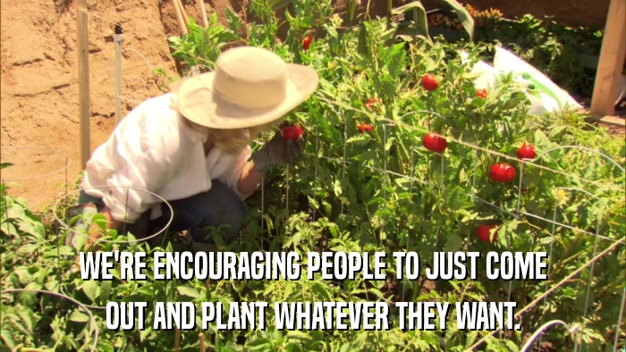 WE'RE ENCOURAGING PEOPLE TO JUST COME OUT AND PLANT WHATEVER THEY WANT. 