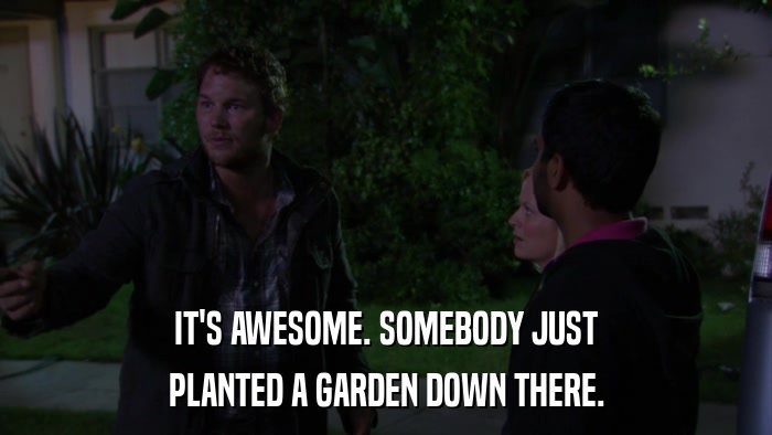 IT'S AWESOME. SOMEBODY JUST PLANTED A GARDEN DOWN THERE. 