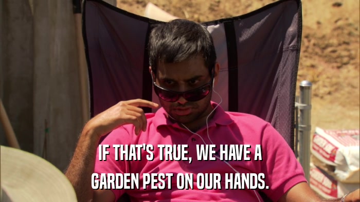 IF THAT'S TRUE, WE HAVE A GARDEN PEST ON OUR HANDS. 