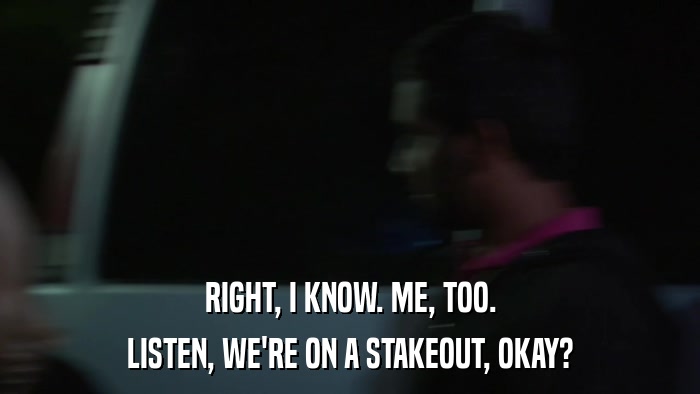 RIGHT, I KNOW. ME, TOO. LISTEN, WE'RE ON A STAKEOUT, OKAY? 