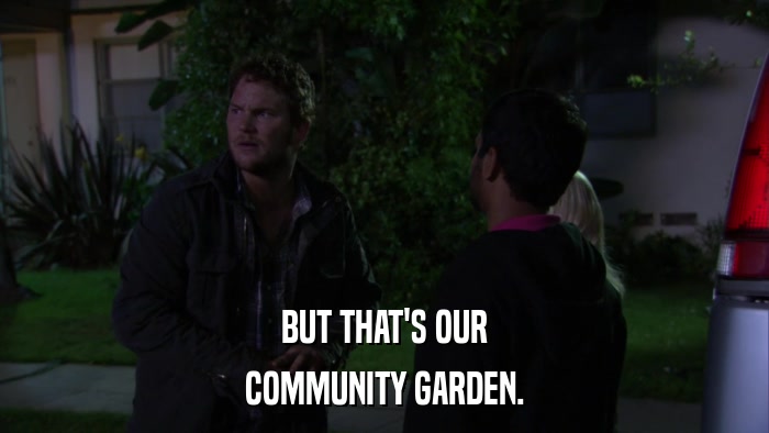 BUT THAT'S OUR COMMUNITY GARDEN. 