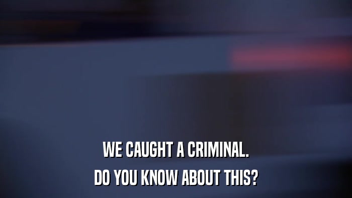 WE CAUGHT A CRIMINAL. DO YOU KNOW ABOUT THIS? 