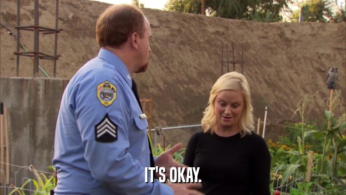 IT'S OKAY.  