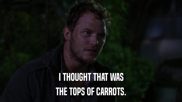 I THOUGHT THAT WAS THE TOPS OF CARROTS. 