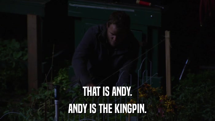 THAT IS ANDY. ANDY IS THE KINGPIN. 