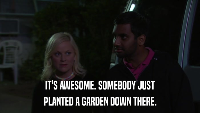 IT'S AWESOME. SOMEBODY JUST PLANTED A GARDEN DOWN THERE. 