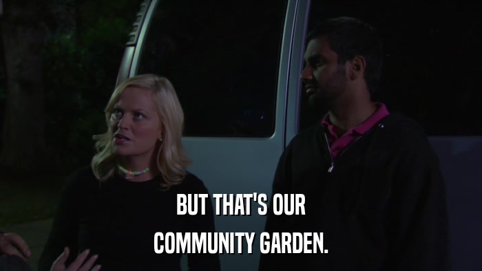 BUT THAT'S OUR COMMUNITY GARDEN. 