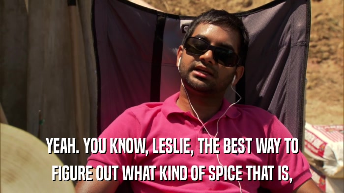 YEAH. YOU KNOW, LESLIE, THE BEST WAY TO FIGURE OUT WHAT KIND OF SPICE THAT IS, 