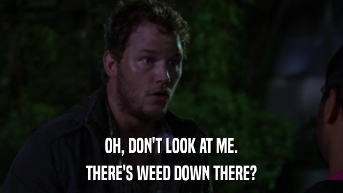 OH, DON'T LOOK AT ME. THERE'S WEED DOWN THERE? 