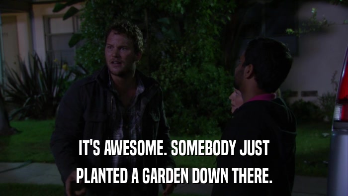 IT'S AWESOME. SOMEBODY JUST PLANTED A GARDEN DOWN THERE. 