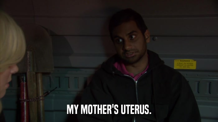 MY MOTHER'S UTERUS.  