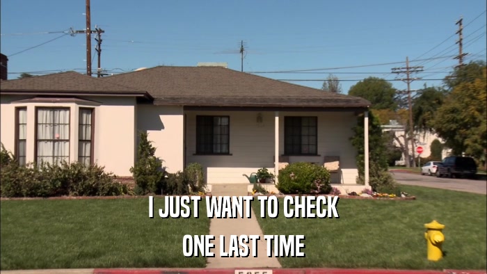 I JUST WANT TO CHECK ONE LAST TIME 