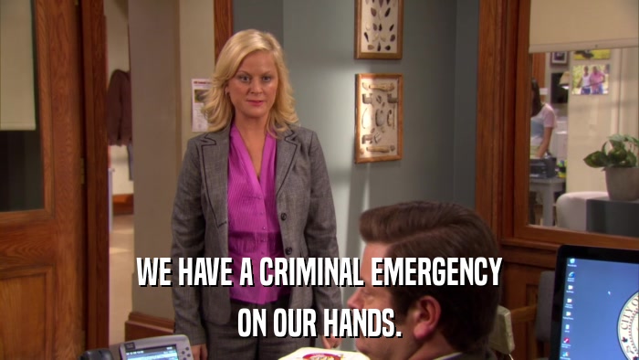 WE HAVE A CRIMINAL EMERGENCY ON OUR HANDS. 
