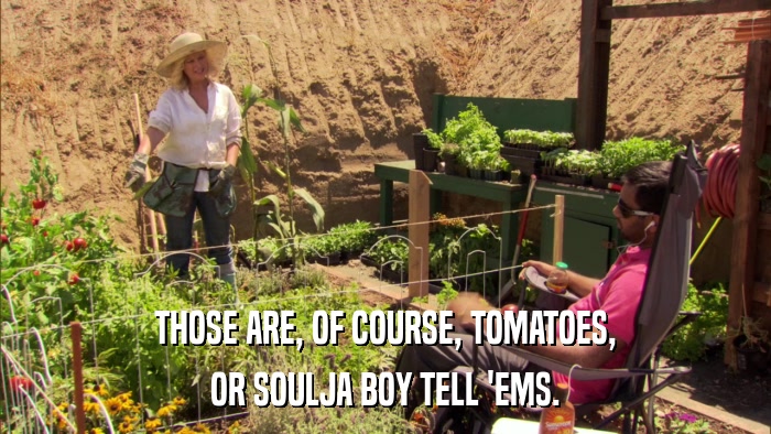 THOSE ARE, OF COURSE, TOMATOES, OR SOULJA BOY TELL 'EMS. 
