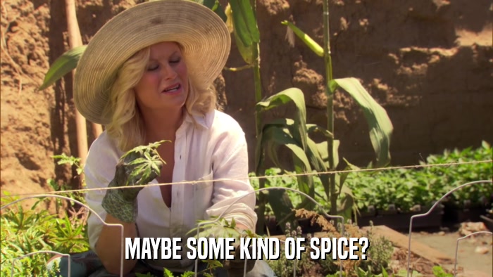 MAYBE SOME KIND OF SPICE?  