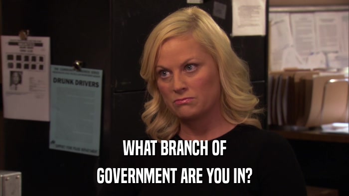 WHAT BRANCH OF GOVERNMENT ARE YOU IN? 