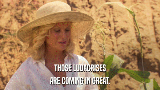 THOSE LUDACRISES ARE COMING IN GREAT. 