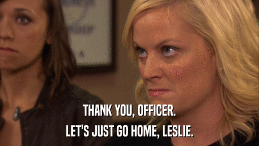 THANK YOU, OFFICER. LET'S JUST GO HOME, LESLIE. 