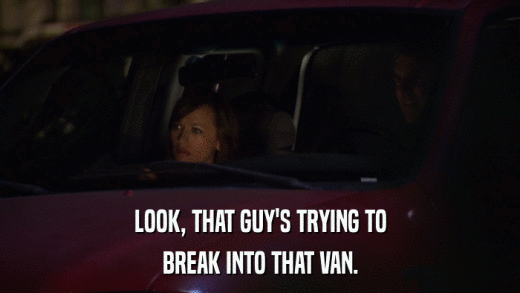 LOOK, THAT GUY'S TRYING TO BREAK INTO THAT VAN. 