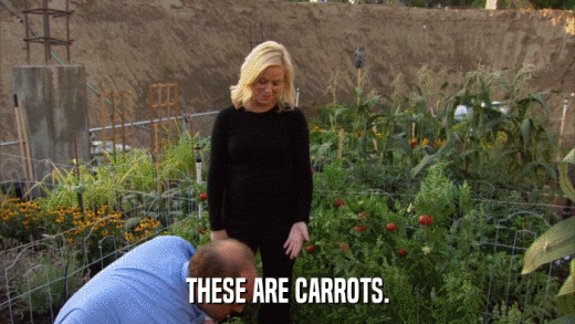 THESE ARE CARROTS.  