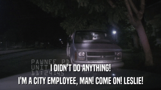 I DIDN'T DO ANYTHING! I'M A CITY EMPLOYEE, MAN! COME ON! LESLIE! 