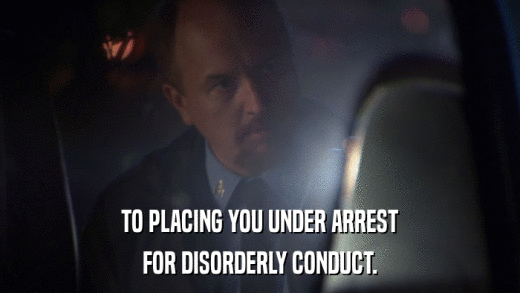 TO PLACING YOU UNDER ARREST FOR DISORDERLY CONDUCT. 
