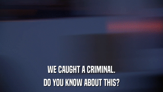 WE CAUGHT A CRIMINAL. DO YOU KNOW ABOUT THIS? 