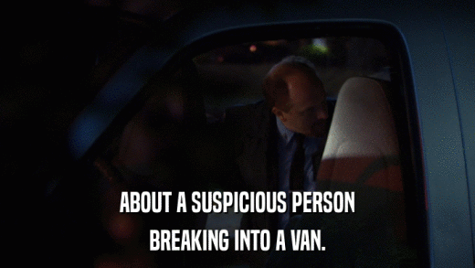 ABOUT A SUSPICIOUS PERSON BREAKING INTO A VAN. 