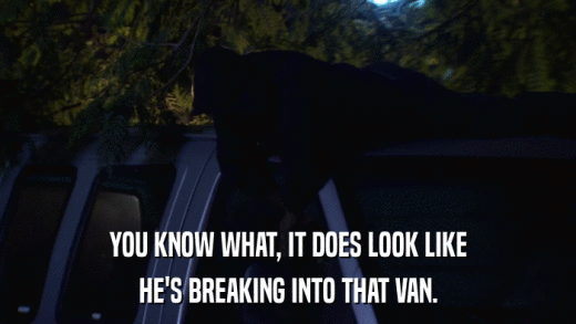 YOU KNOW WHAT, IT DOES LOOK LIKE HE'S BREAKING INTO THAT VAN. 