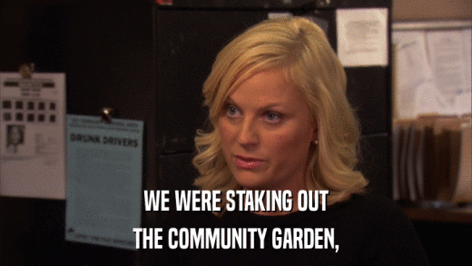 WE WERE STAKING OUT THE COMMUNITY GARDEN, 