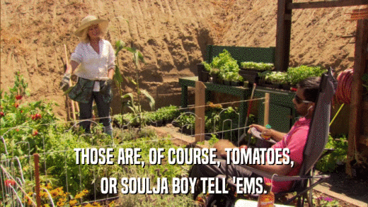 THOSE ARE, OF COURSE, TOMATOES, OR SOULJA BOY TELL 'EMS. 