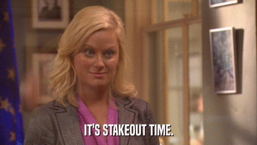 IT'S STAKEOUT TIME.  