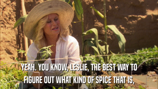 YEAH. YOU KNOW, LESLIE, THE BEST WAY TO FIGURE OUT WHAT KIND OF SPICE THAT IS, 