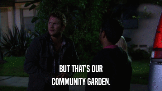 BUT THAT'S OUR COMMUNITY GARDEN. 