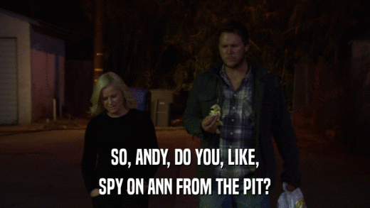 SO, ANDY, DO YOU, LIKE, SPY ON ANN FROM THE PIT? 