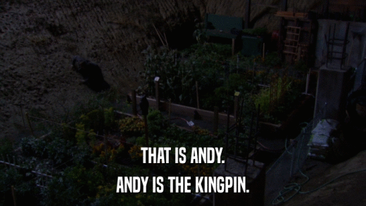 THAT IS ANDY. ANDY IS THE KINGPIN. 