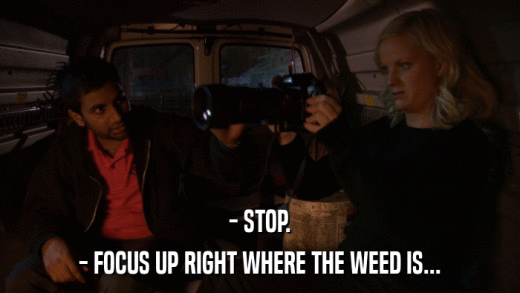 - STOP. - FOCUS UP RIGHT WHERE THE WEED IS... 