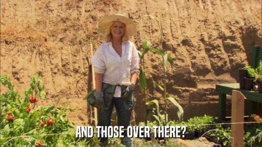 AND THOSE OVER THERE?  