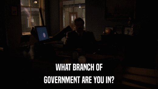 WHAT BRANCH OF GOVERNMENT ARE YOU IN? 