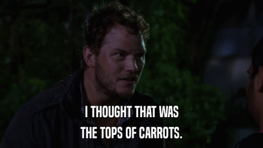I THOUGHT THAT WAS THE TOPS OF CARROTS. 