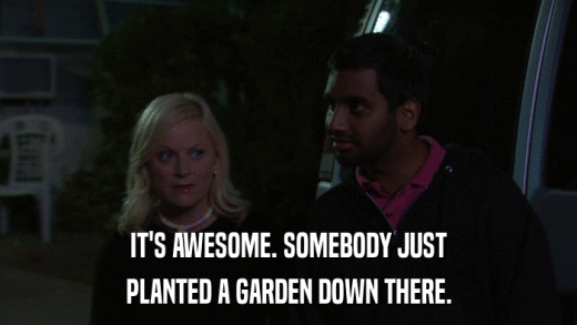 IT'S AWESOME. SOMEBODY JUST PLANTED A GARDEN DOWN THERE. 