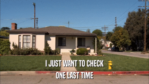 I JUST WANT TO CHECK ONE LAST TIME 