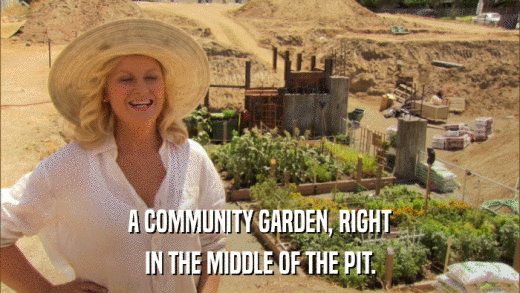 A COMMUNITY GARDEN, RIGHT IN THE MIDDLE OF THE PIT. 