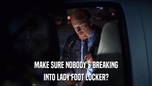 MAKE SURE NOBODY'S BREAKING INTO LADY FOOT LOCKER? 